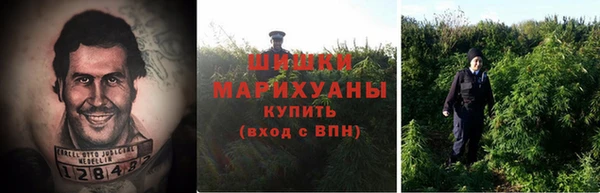 ГАЛЛЮЦИНОГЕННЫЕ ГРИБЫ Белокуриха