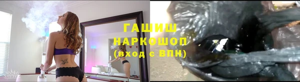 ГАЛЛЮЦИНОГЕННЫЕ ГРИБЫ Белокуриха
