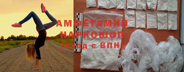 ПСИЛОЦИБИНОВЫЕ ГРИБЫ Дмитриев