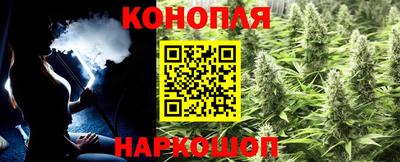 СК Краснодар