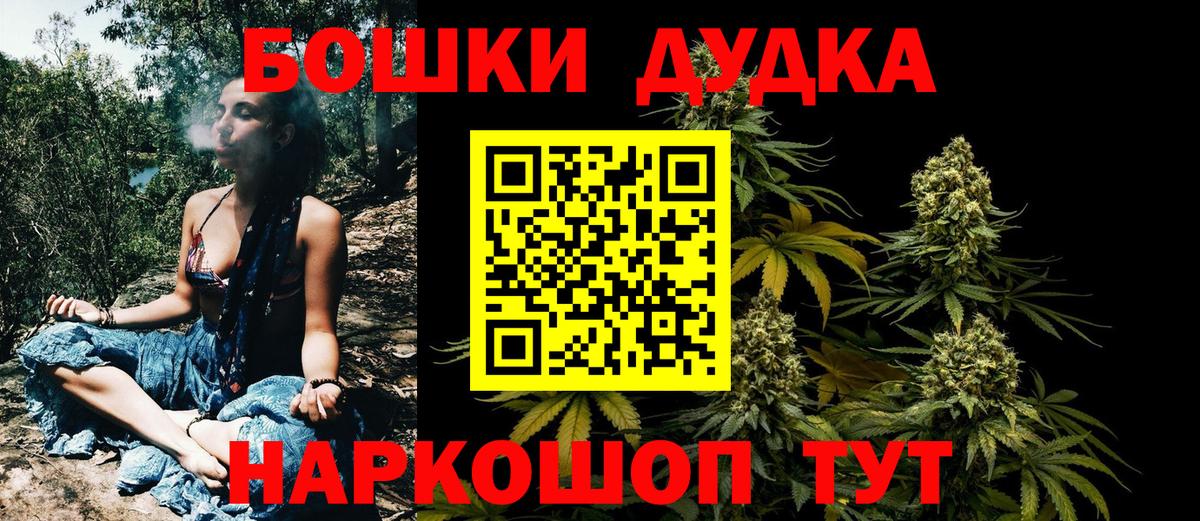 Каннабис планчик Дагестанские Огни
